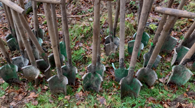 Bildung für Nachhaltige Entwicklung